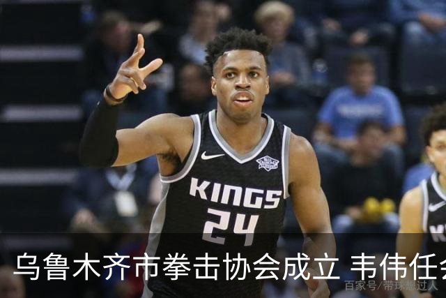 乌鲁木齐市拳击协会成立 韦伟任会长