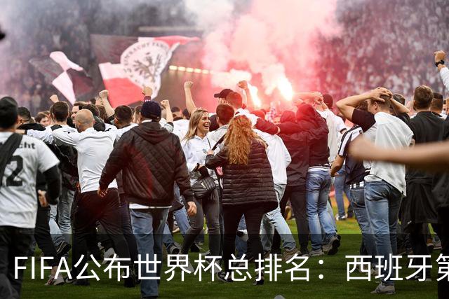 FIFA公布世界杯总排名：西班牙第1，巴西第11，荷兰、德国第17、18